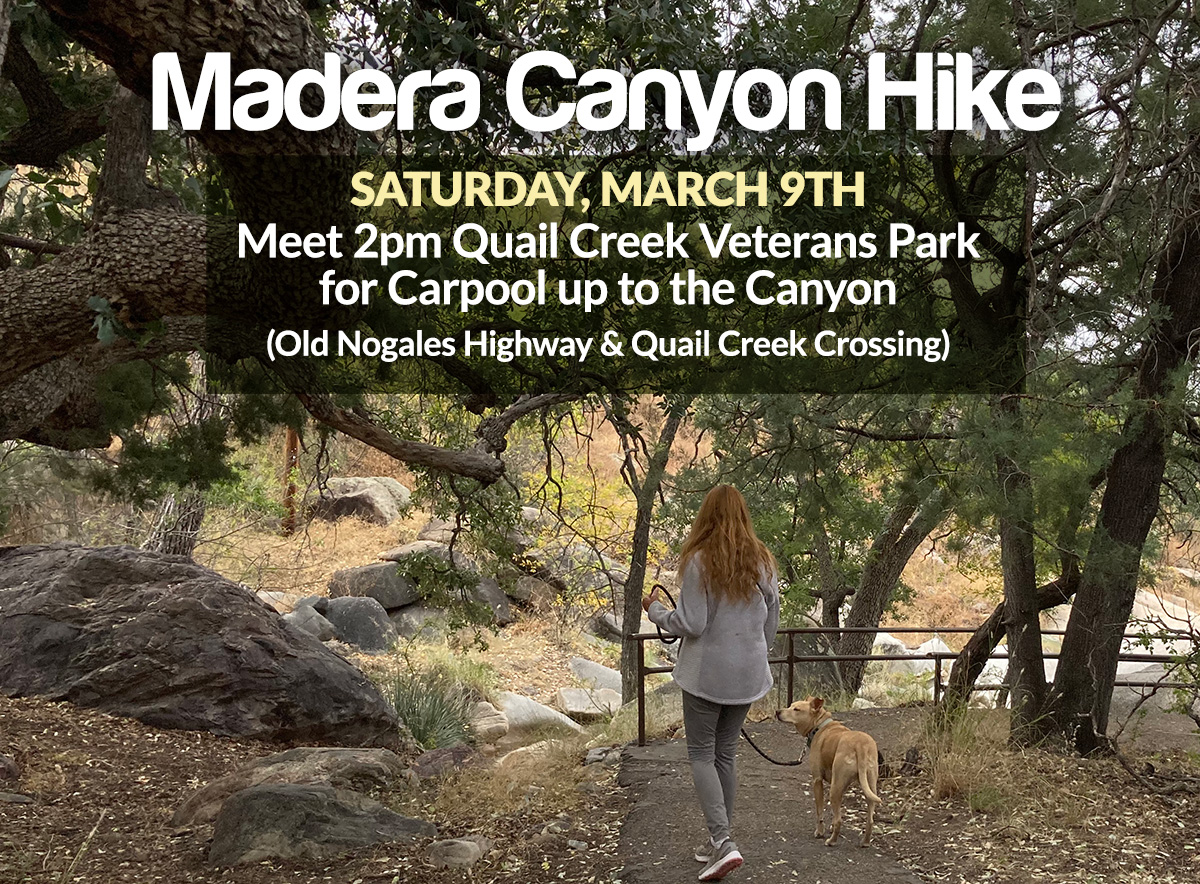 Madera Canyon Hike